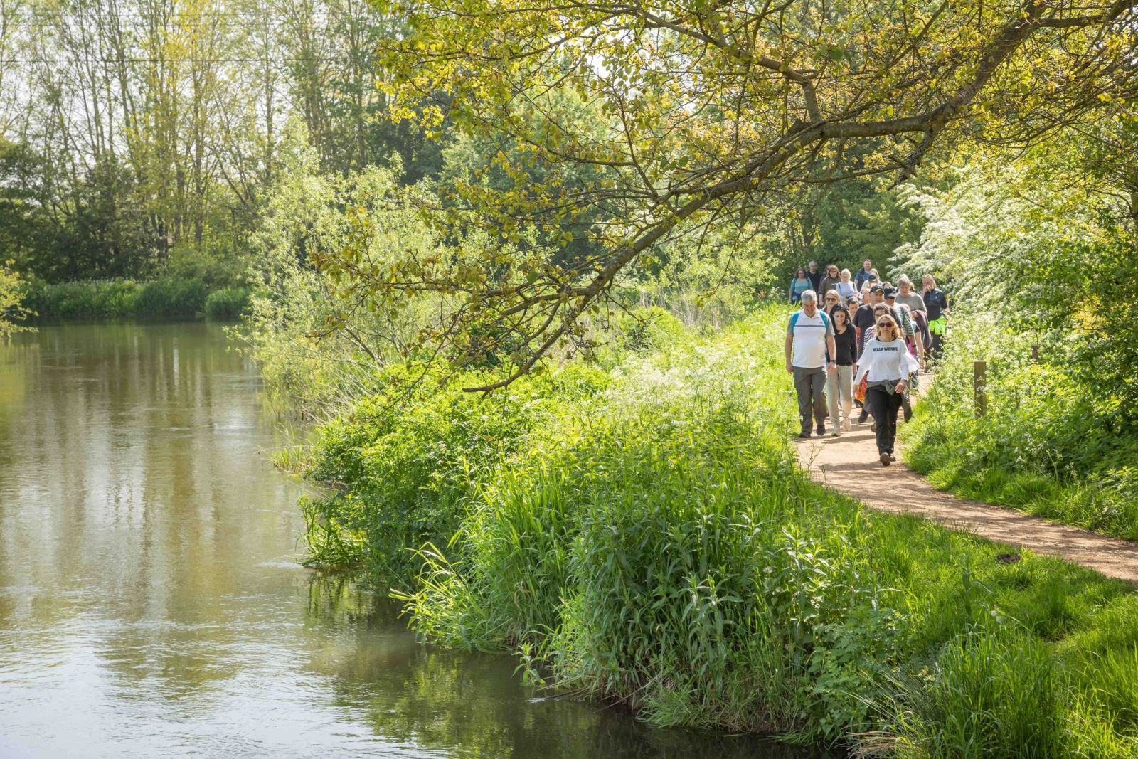 Group walking in forest by river